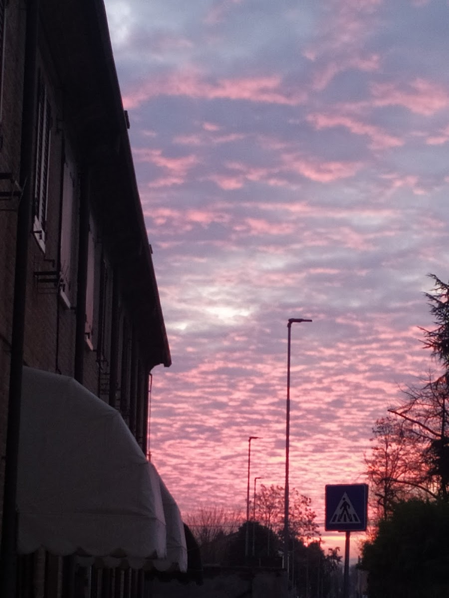 Easy Time Cafe Di Zhang Guoxing