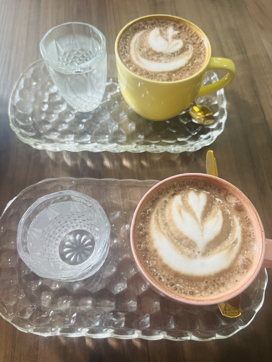 Cafeeiros | Cafeteira & Torrefação de Cafés Especiais