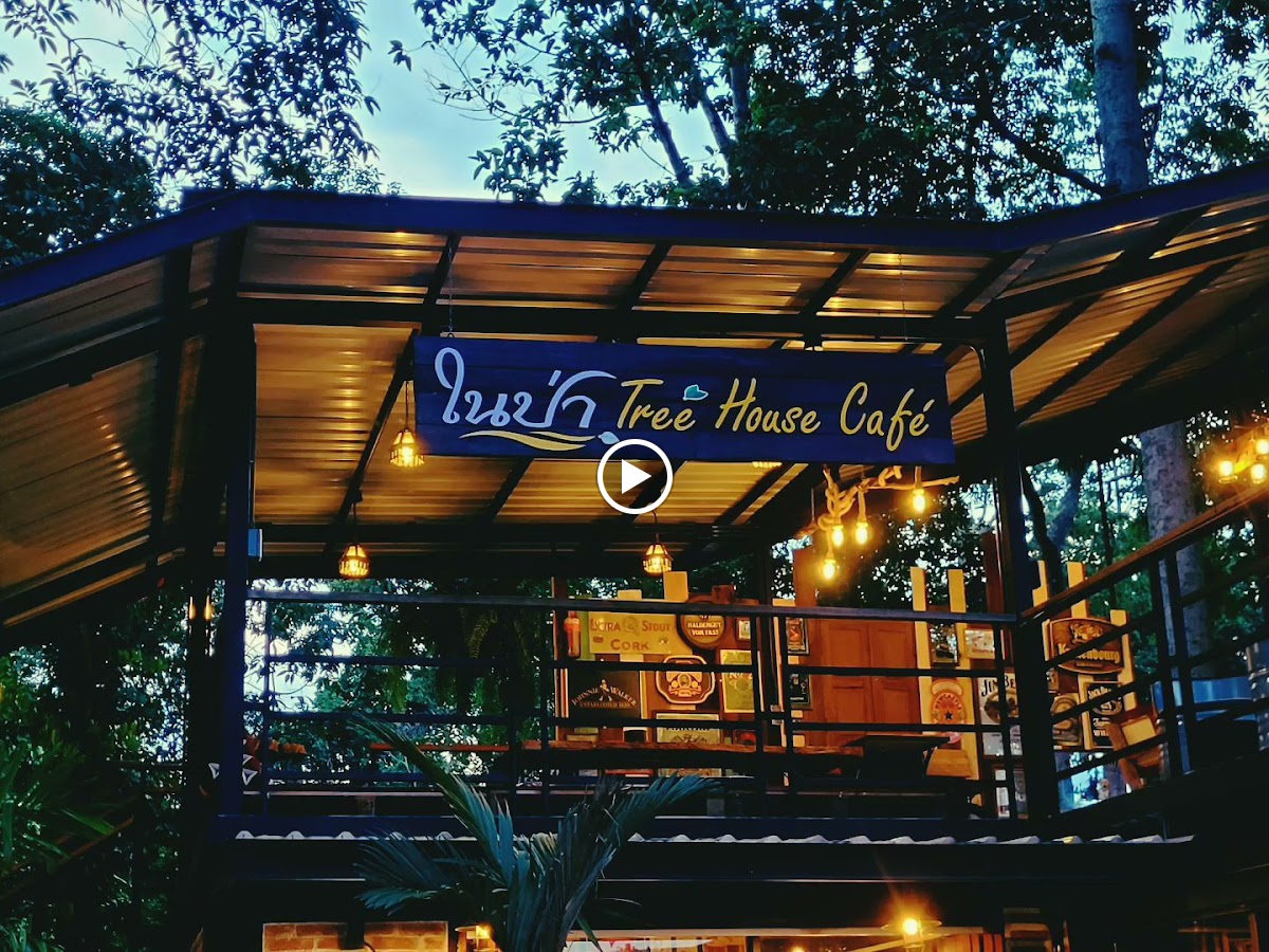 ในป่า - TREE HOUSE CAFÉ Bandung