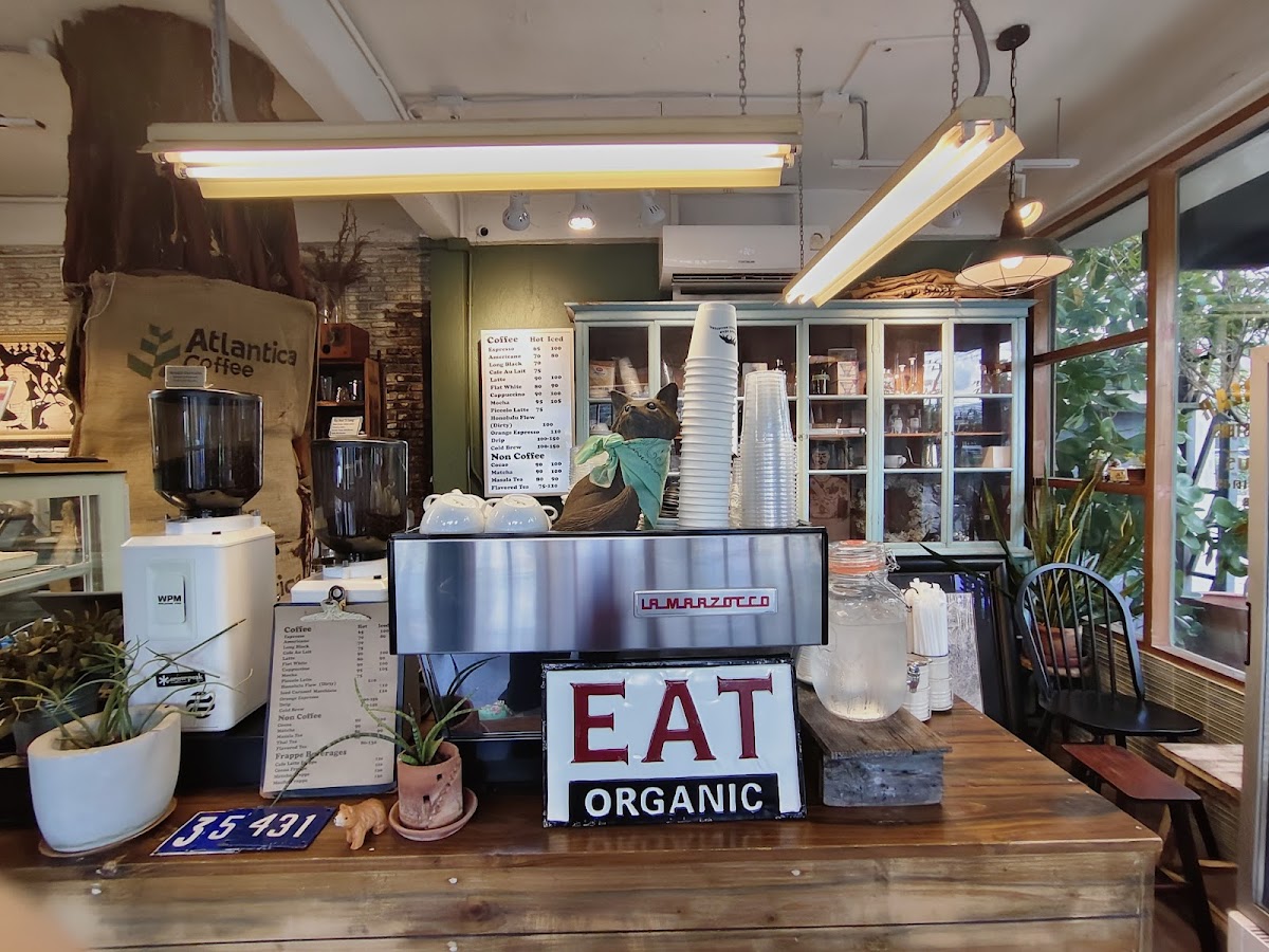 Sunny Bear coffee roasters shop.