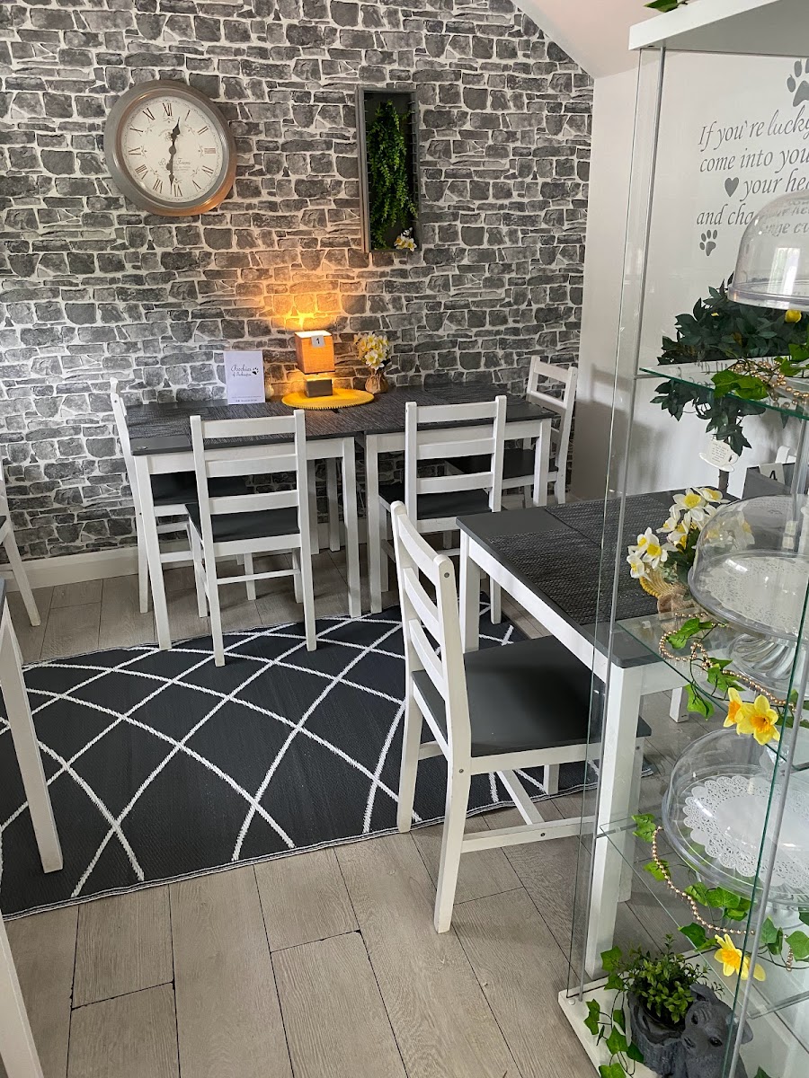 Poochies of Packington