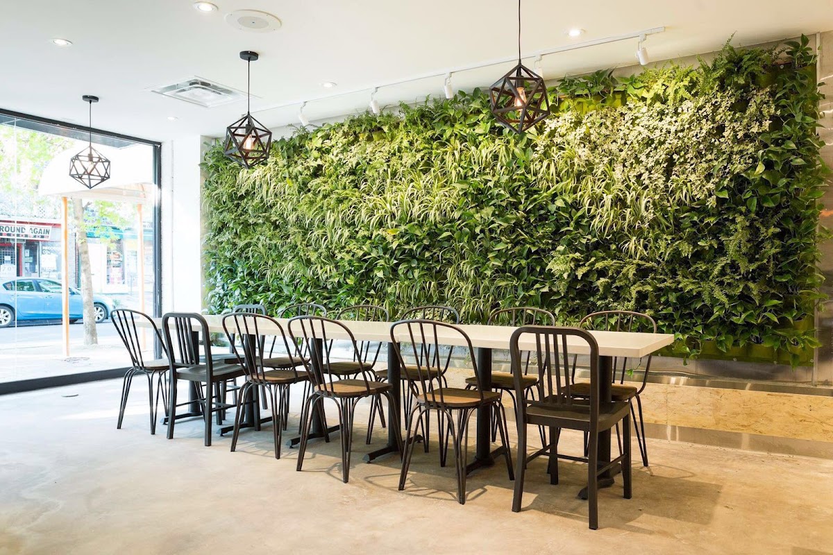 Light Cafe - ON M5T 1L1