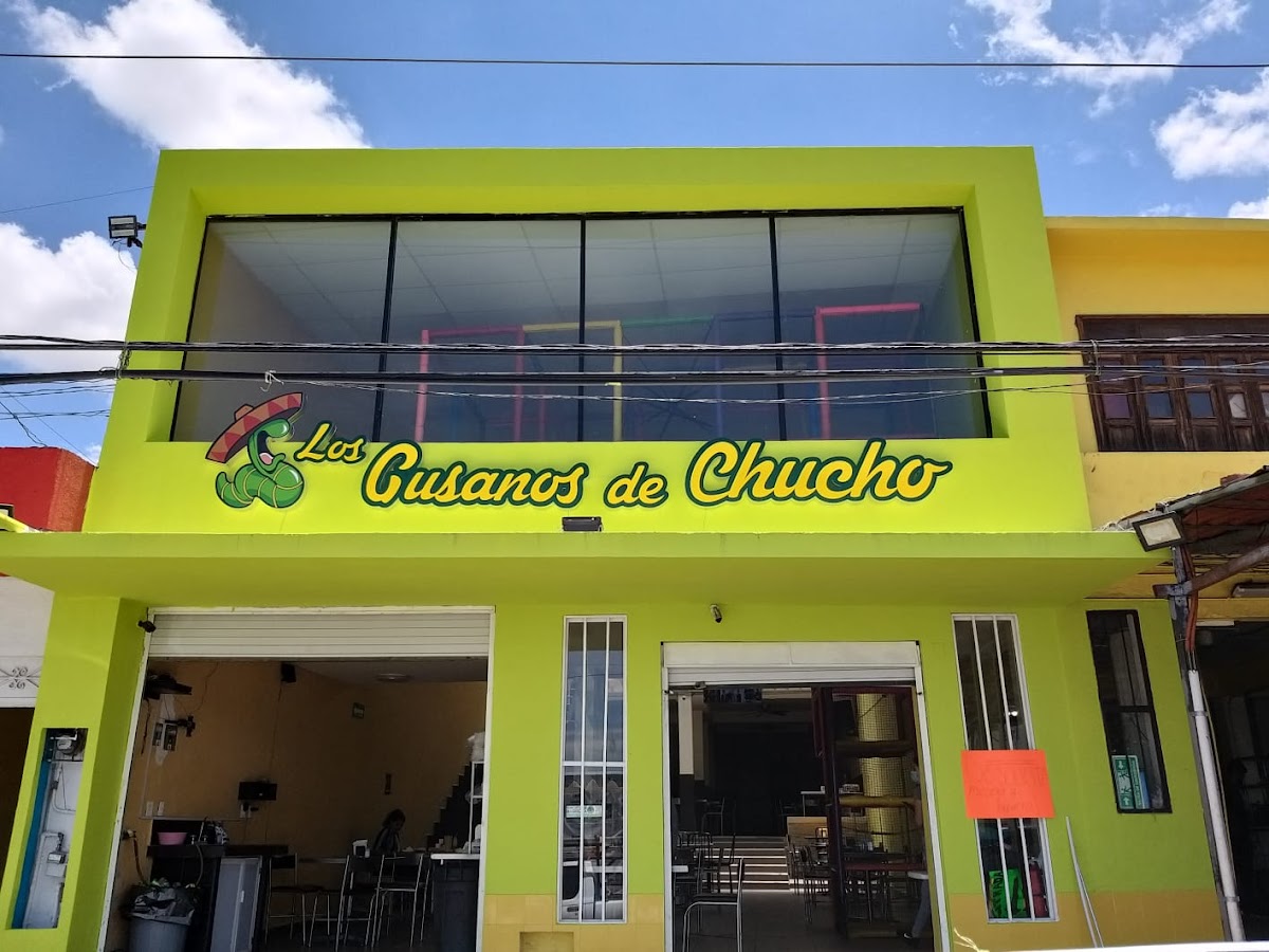 Los gusanos de Chucho Oficial