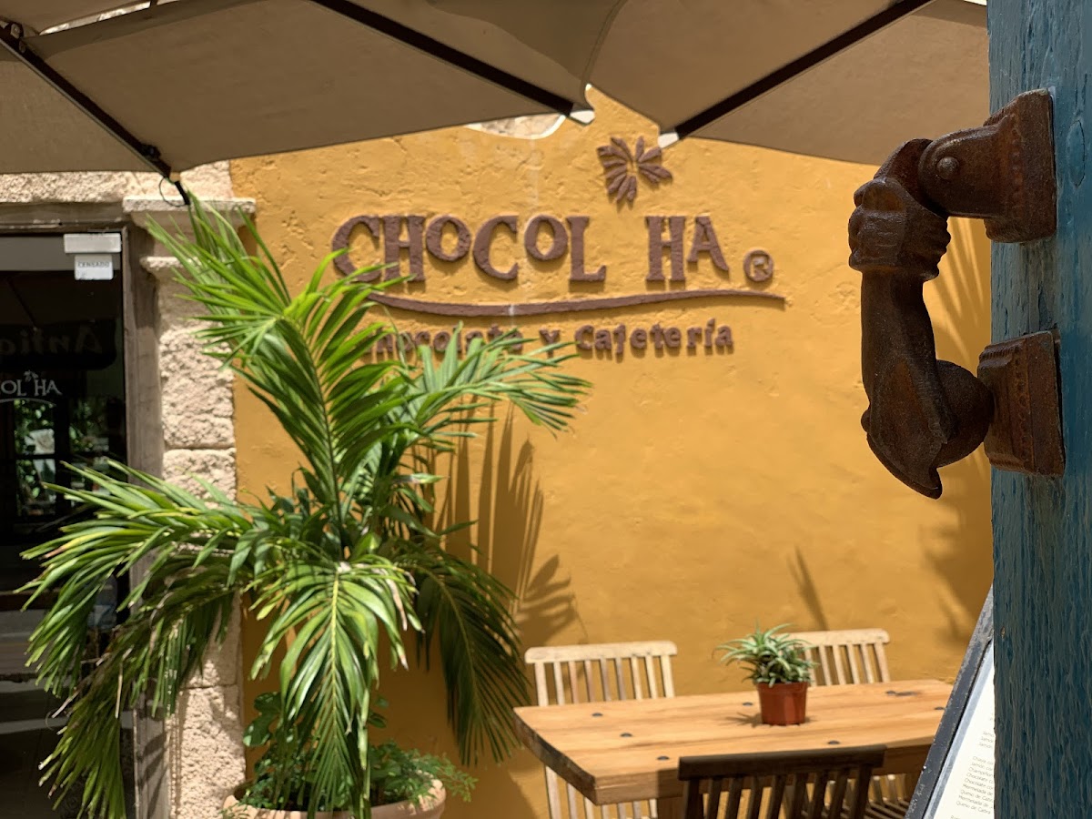 Chocol Ha