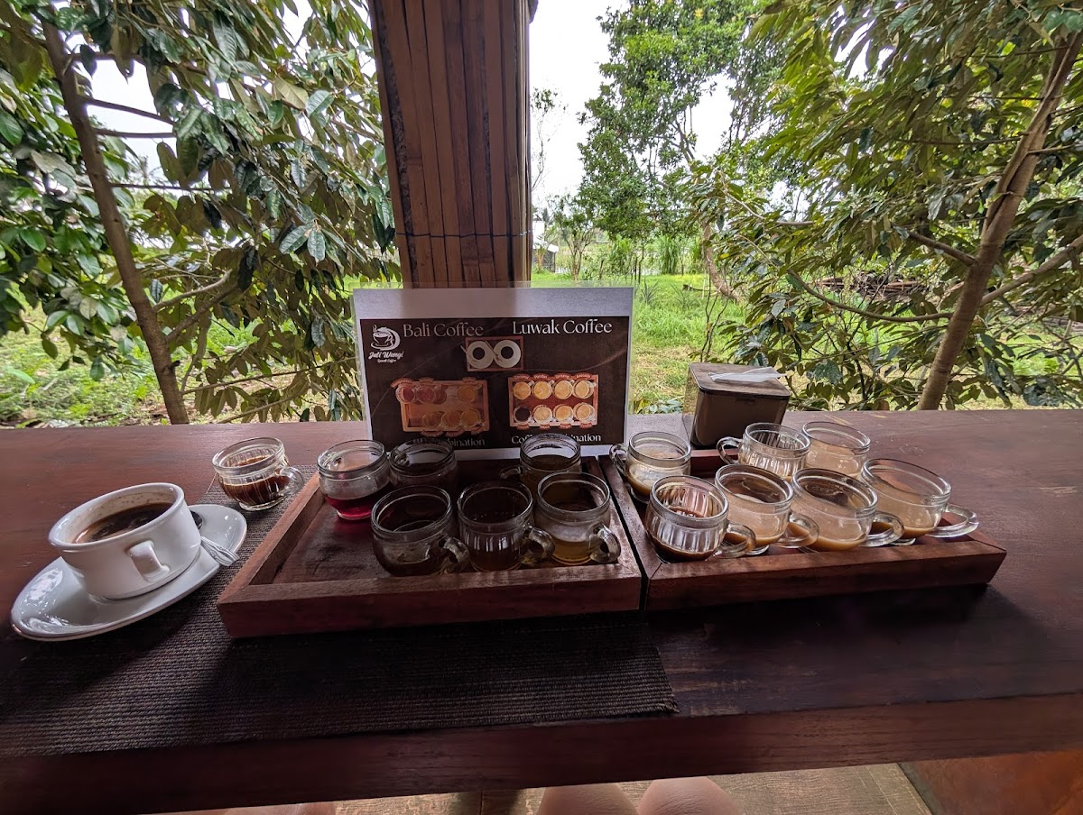 Jati Wangi Luwak Coffee