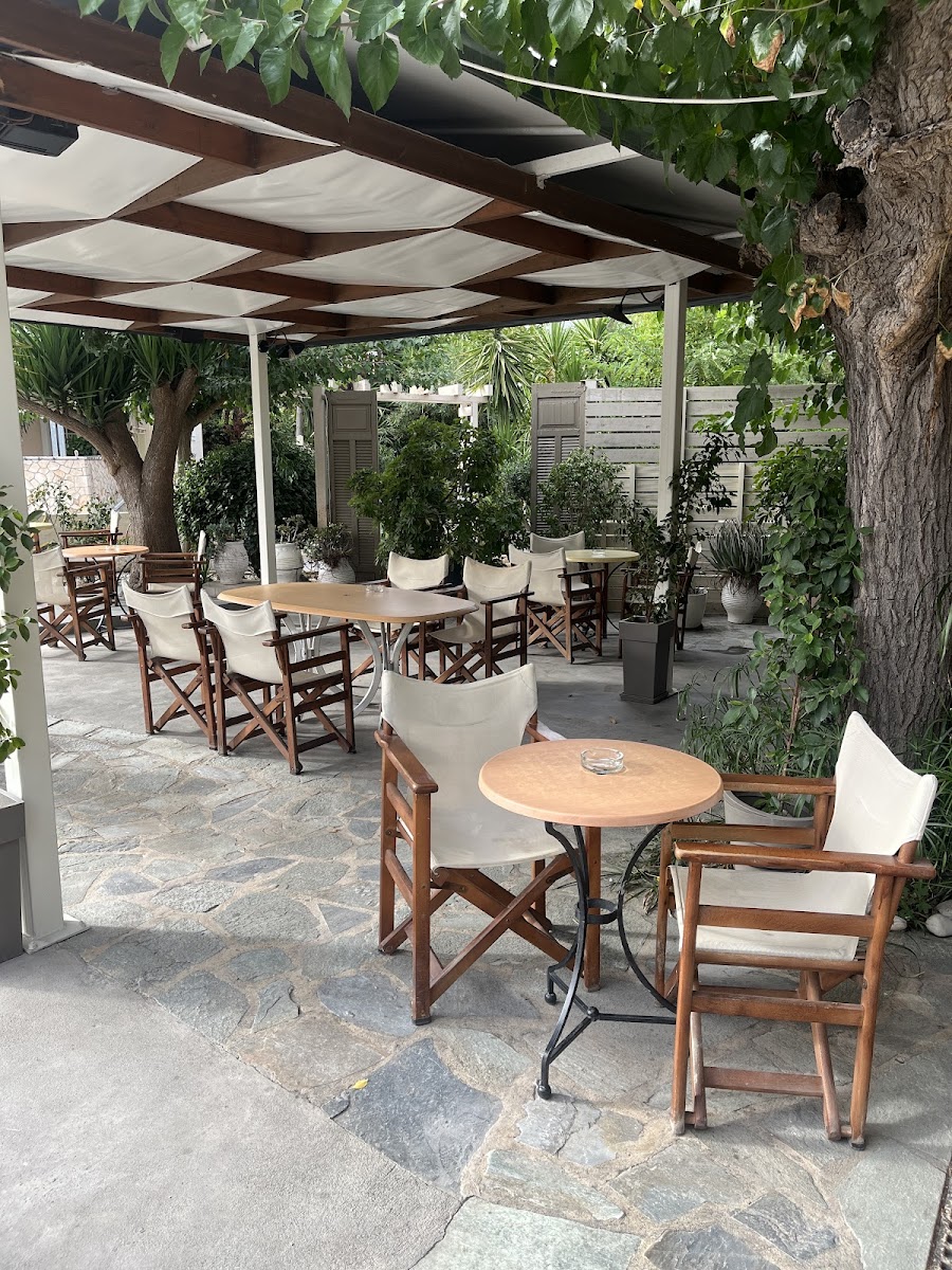 Freddo Cafe Espresso, Fresh