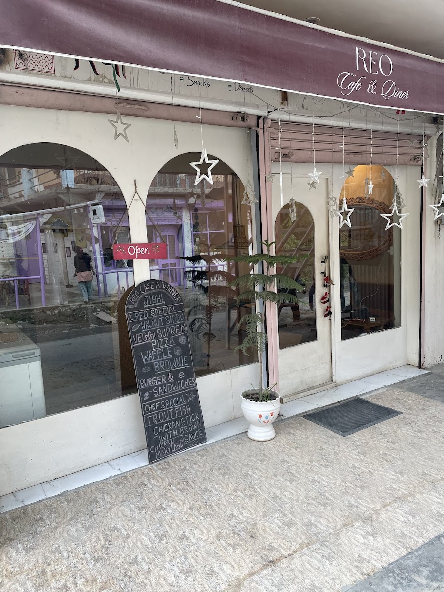 Reo Cafe and Diner Jibhi