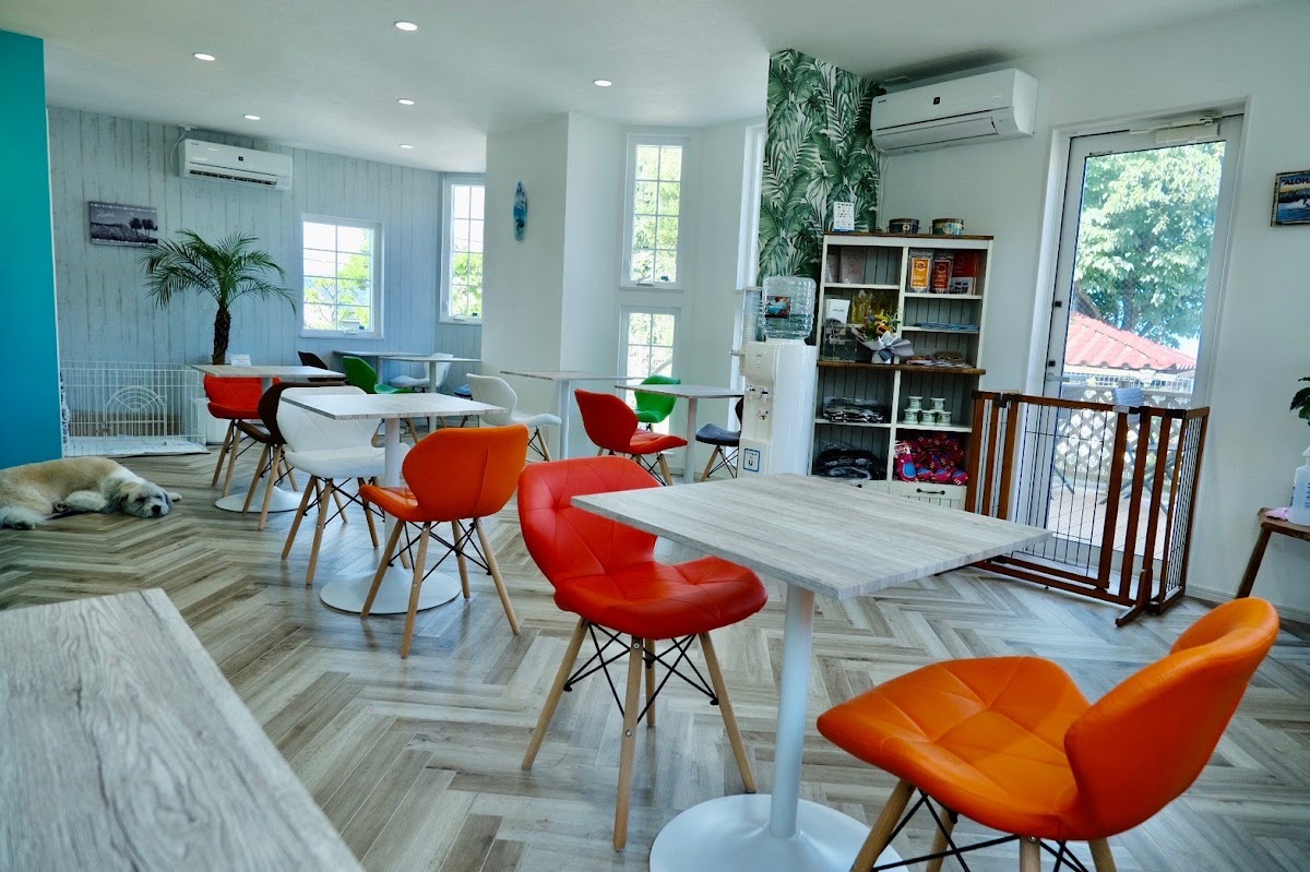 Dog cafe alohaillio
