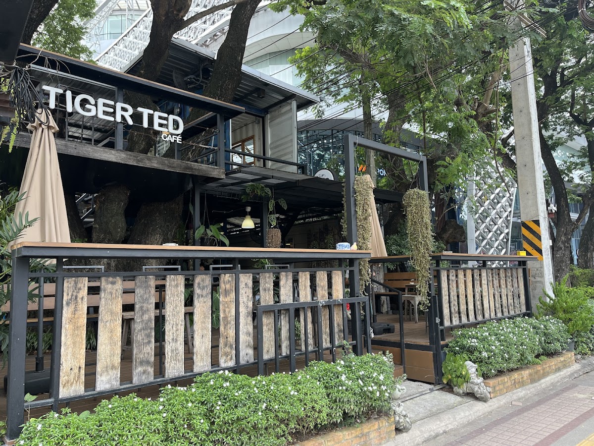 Tiger Ted Cafe