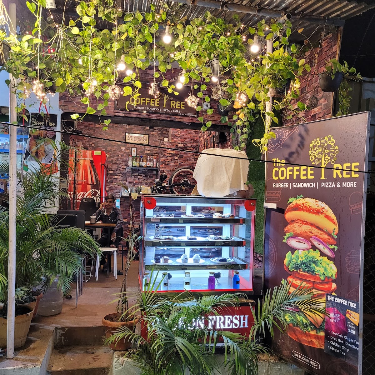 The Coffee tree to junk box