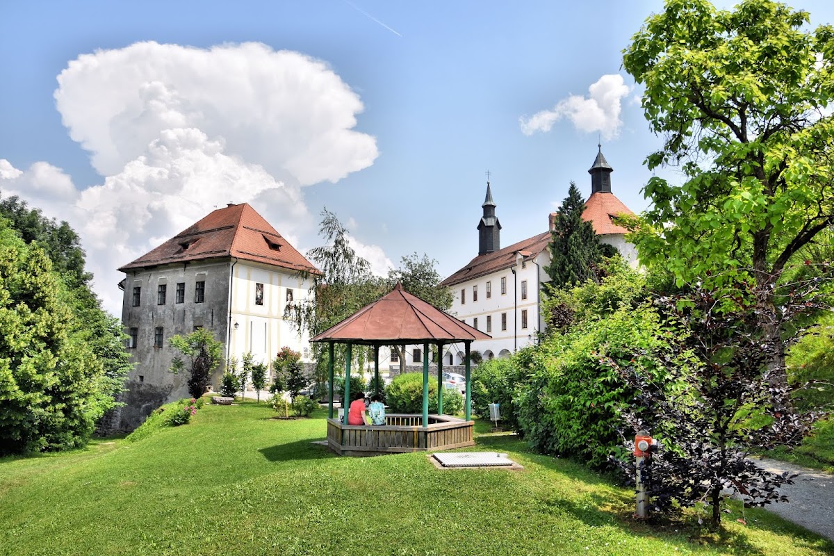 Muzejsko društvo Škofja Loka