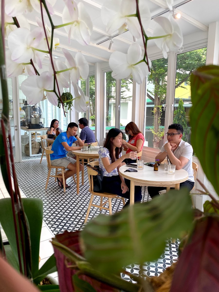 Curio Coffee Roaster & Cafe @ Jalan Ipoh