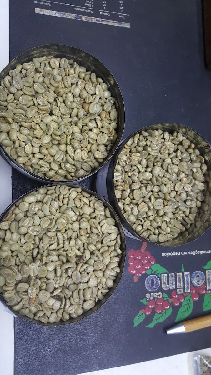 Coffee Plaza Com. Exp. De cafés