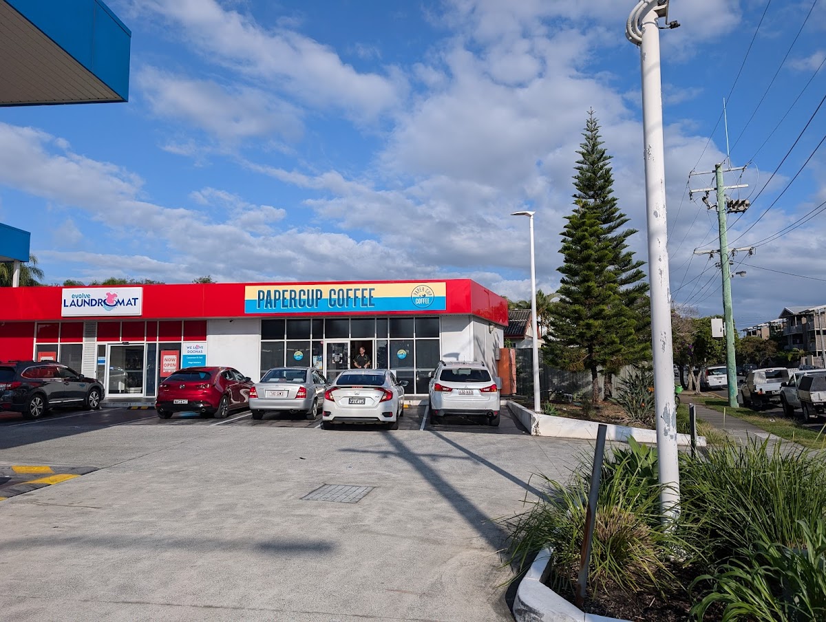 Papercup Coffee Labrador